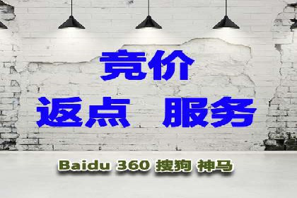 某行业sem百度竞价全解析